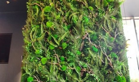 Installation d'un tableau végétal stabilisé -  mur végétal à Lyon