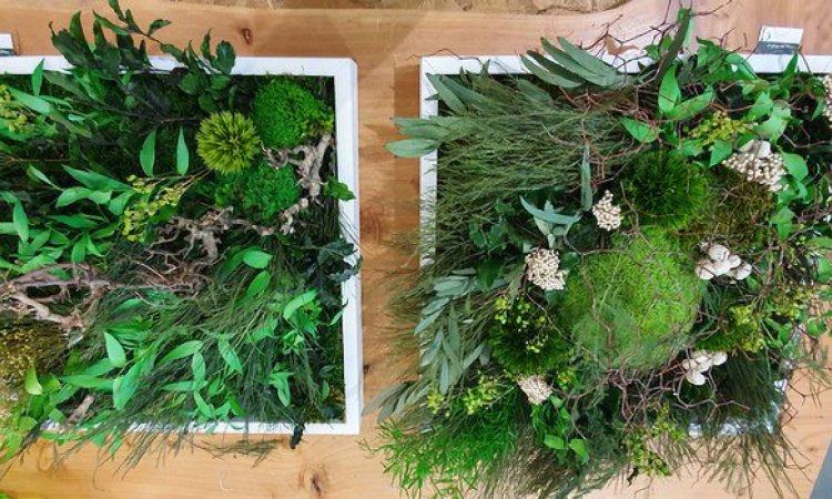 Installer un cadre végétal stabilisé sur mesure dans les locaux professionnels à Lyon - Design Végétal