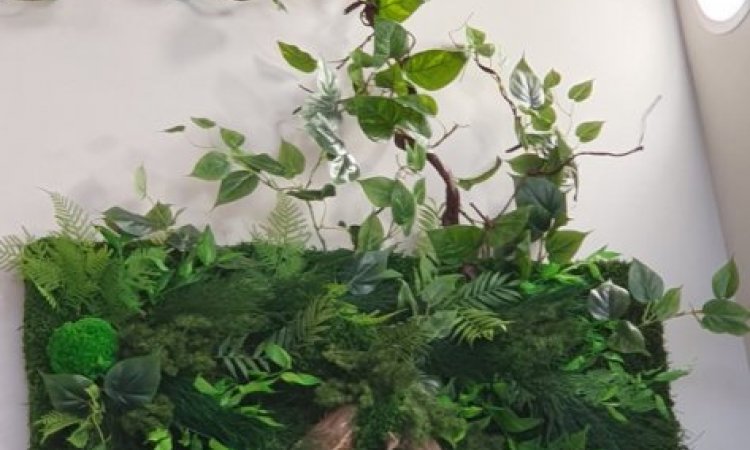 Fabricant cadre végétal stabilisé pour végétaliser les locaux d'entreprise à Lyon - Design Végétal