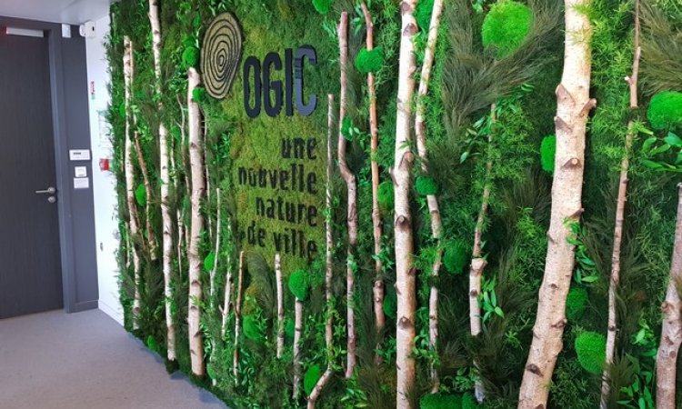 Installer un mur végétal stabilisé en entreprise à Lyon - Design Végétal