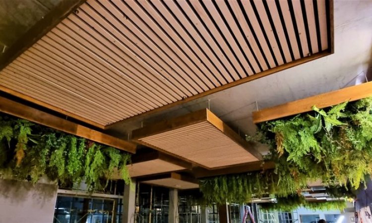 Plafonds stabilisés, artificiels et semi-naturels, Moss Smart Nature à Lyon