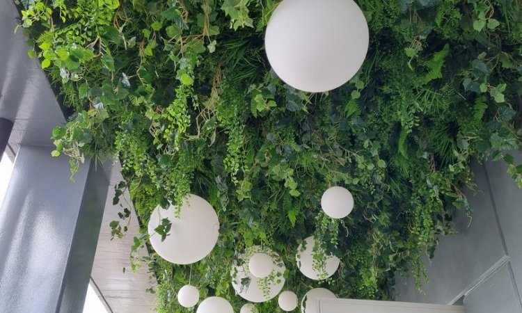 Plafonds stabilisés, artificiels et semi-naturels, Moss Smart Nature à Lyon