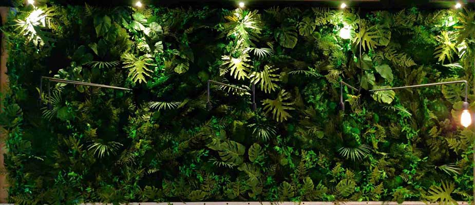 À propos de Moss smart Nature, Lyon, MOSS SMART NATURE