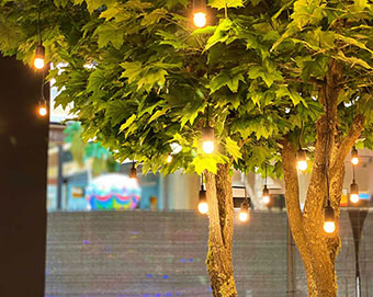 Devis gratuit : Moss Smart Nature, Lyon, MOSS SMART NATURE