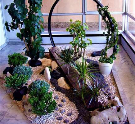 Scénographie végétale : les différentes prestations, Lyon, MOSS SMART NATURE