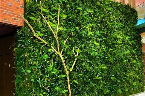 Scénographie végétale : les différentes prestations, Lyon, MOSS SMART NATURE