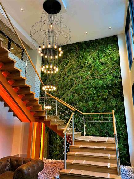 Scénographie végétale : les différentes prestations, Lyon, MOSS SMART NATURE