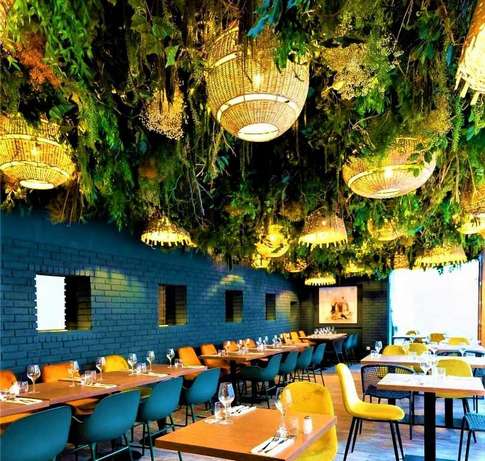 Scénographie végétale : les différentes prestations, Lyon, MOSS SMART NATURE