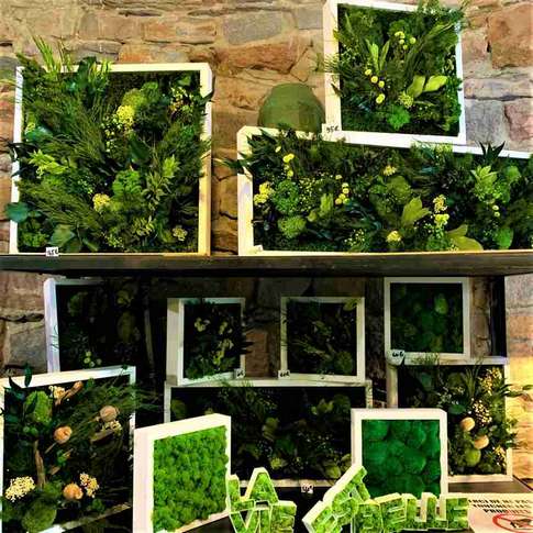 Scénographie végétale : les différentes prestations, Lyon, MOSS SMART NATURE