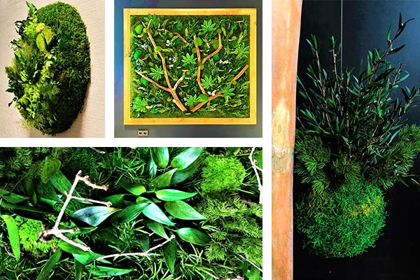 Sans entretien, Lyon, MOSS SMART NATURE