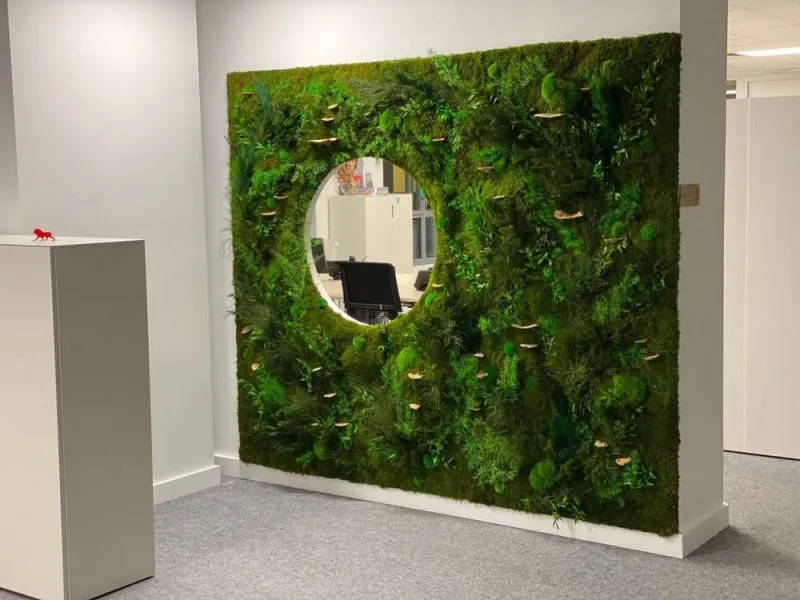 Mur végétal, Lyon, MOSS SMART NATURE