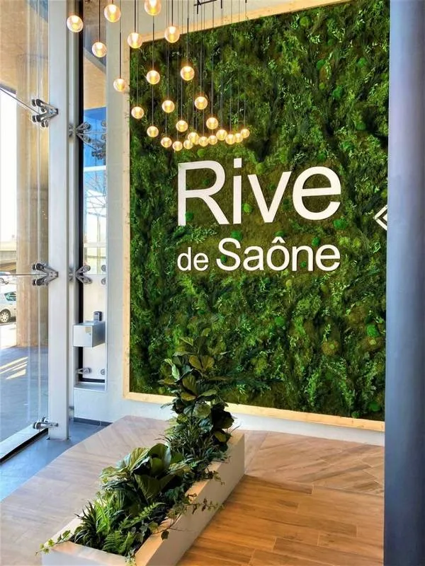 Mur végétal, Lyon, MOSS SMART NATURE