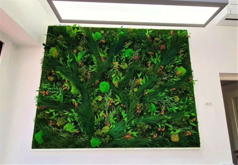 Mur végétal, Lyon, MOSS SMART NATURE