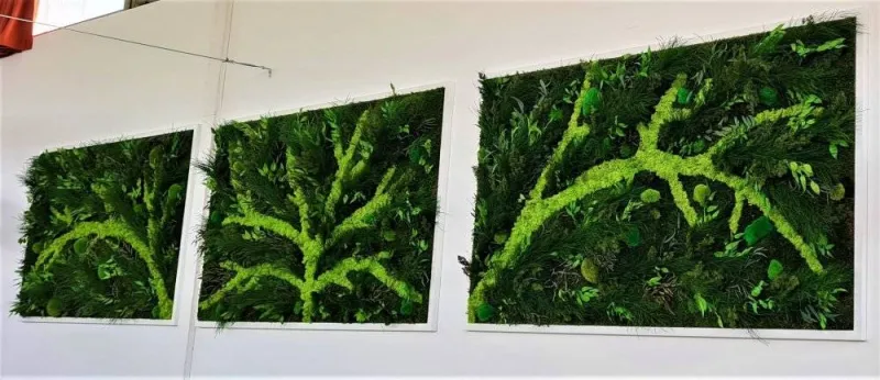 Mur végétal, Lyon, MOSS SMART NATURE