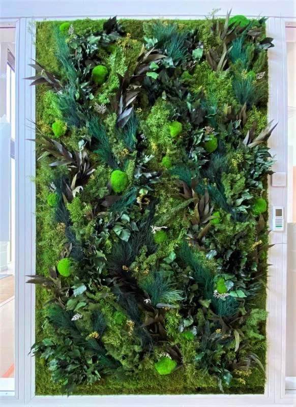 Mur végétal, Lyon, MOSS SMART NATURE