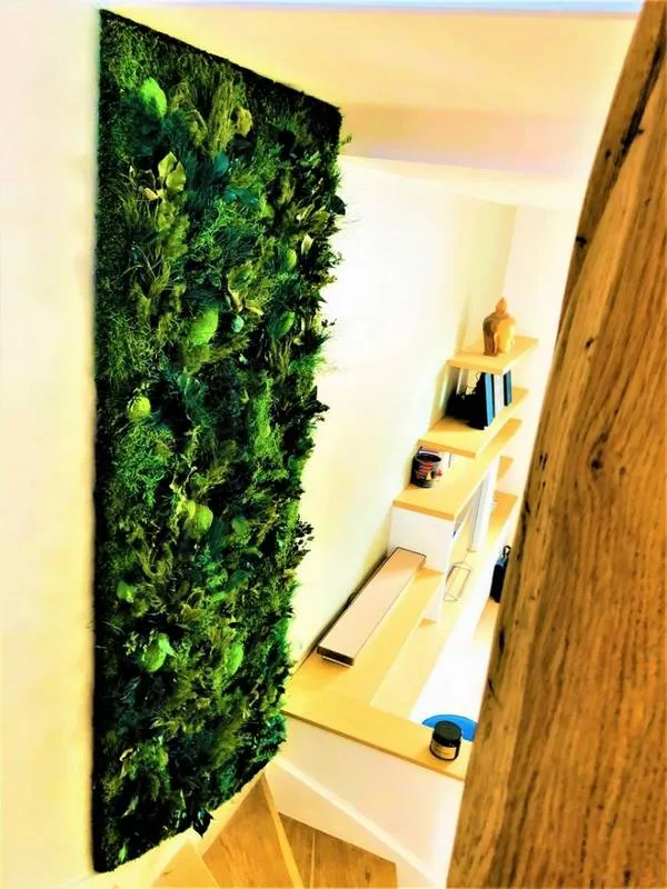 Mur végétal, Lyon, MOSS SMART NATURE