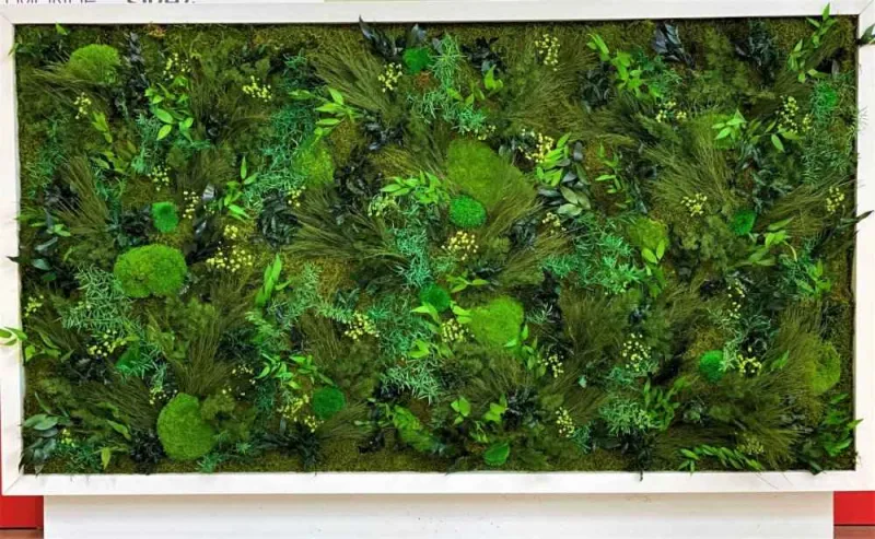 Mur végétal, Lyon, MOSS SMART NATURE