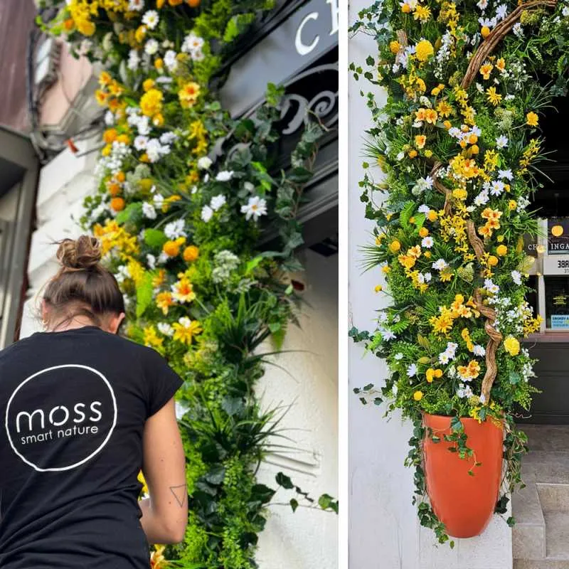 Mur végétal, Lyon, MOSS SMART NATURE