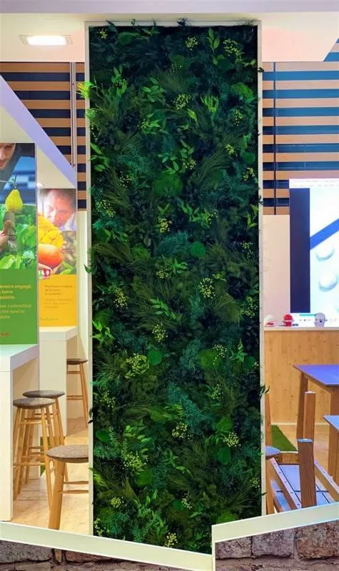 Mur végétal, Lyon, MOSS SMART NATURE