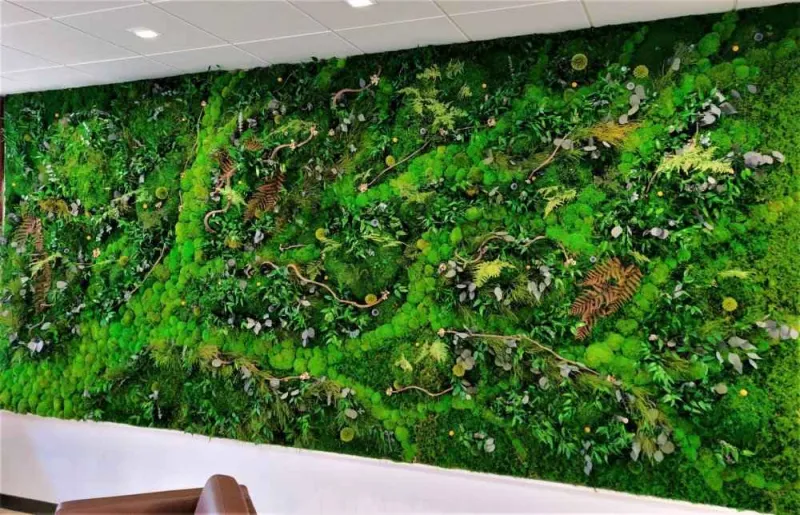 Mur végétal, Lyon, MOSS SMART NATURE