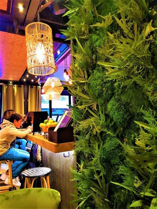 Mur végétal, Lyon, MOSS SMART NATURE