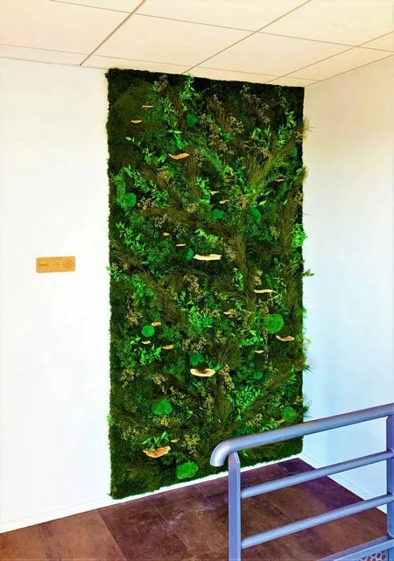 Mur végétal, Lyon, MOSS SMART NATURE