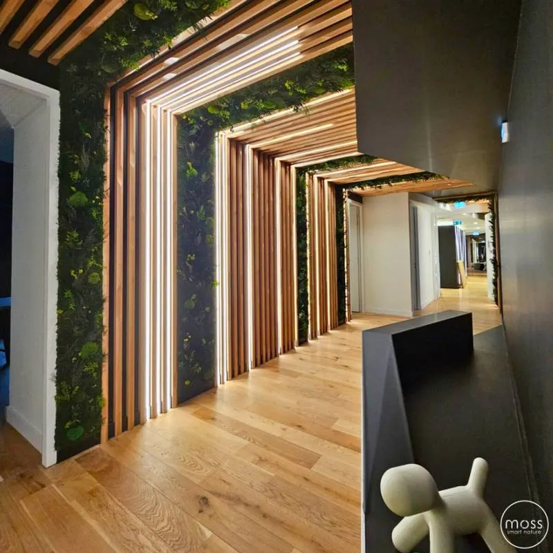 Mur végétal, Lyon, MOSS SMART NATURE