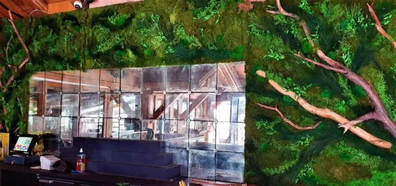 Mur végétal, Lyon, MOSS SMART NATURE