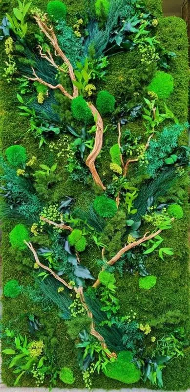 Mur végétal, Lyon, MOSS SMART NATURE