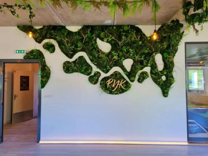 Mur végétal, Lyon, MOSS SMART NATURE