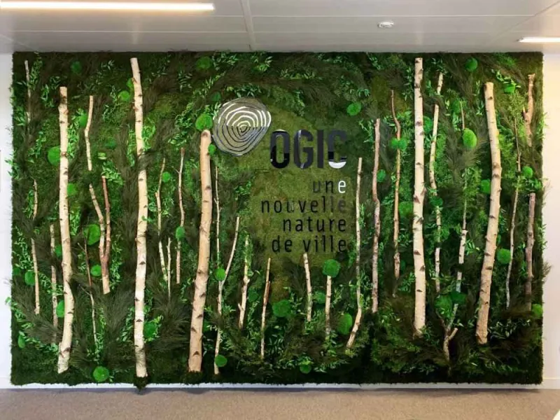 Mur végétal, Lyon, MOSS SMART NATURE