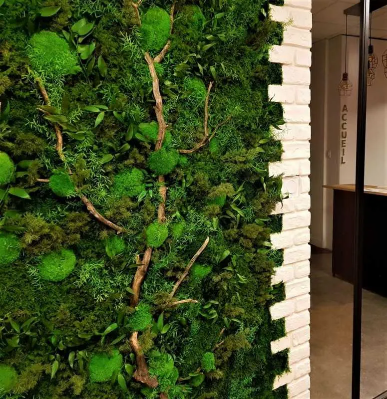 Mur végétal, Lyon, MOSS SMART NATURE