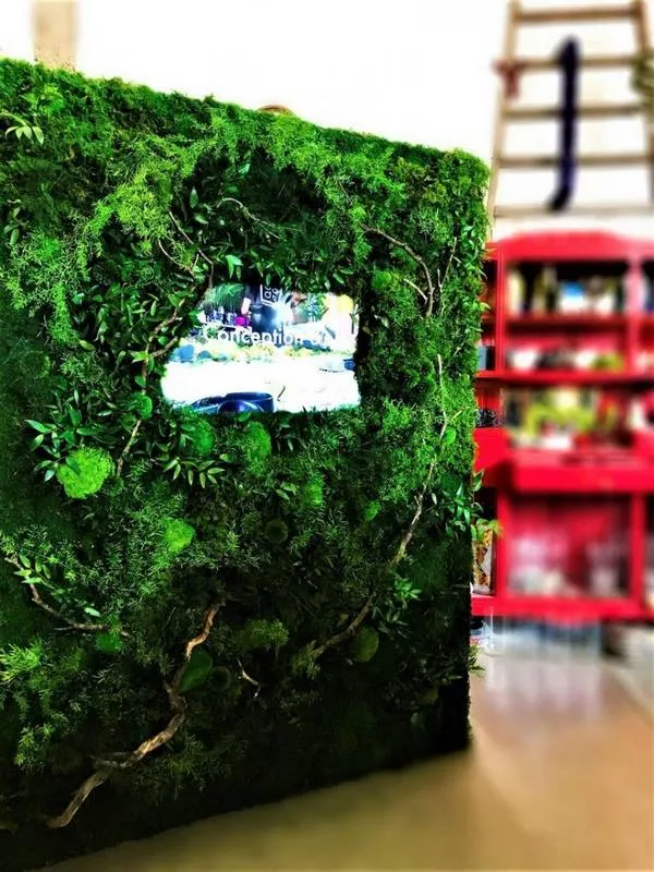 Mur végétal, Lyon, MOSS SMART NATURE