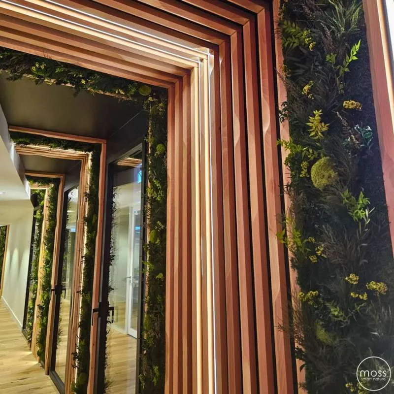 Mur végétal, Lyon, MOSS SMART NATURE