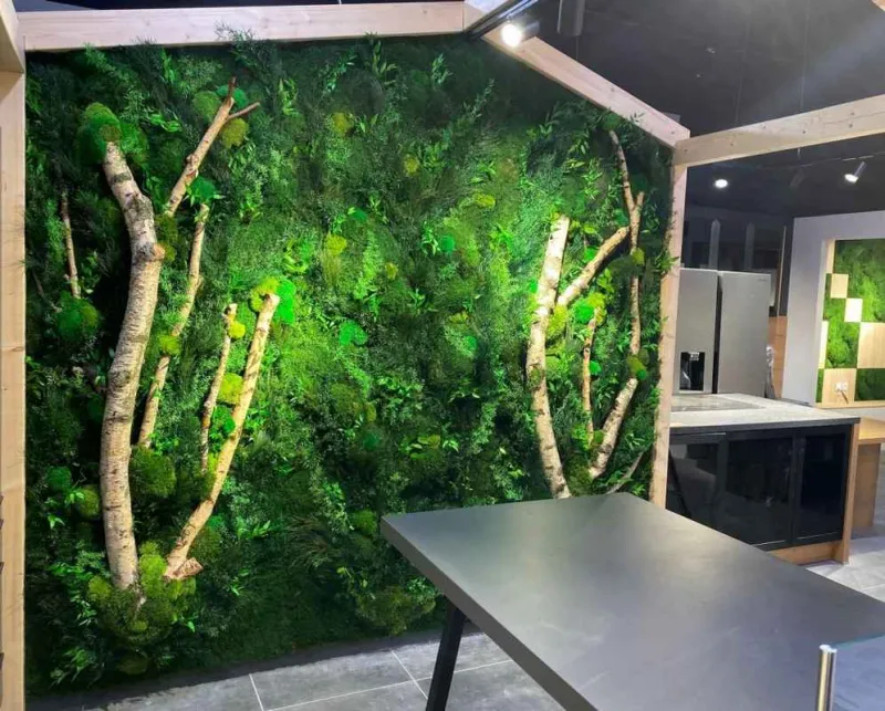 Mur végétal, Lyon, MOSS SMART NATURE