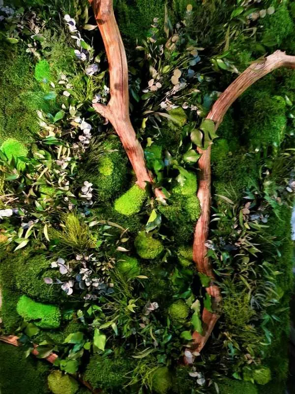 Mur végétal, Lyon, MOSS SMART NATURE