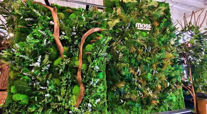 Mur végétal, Lyon, MOSS SMART NATURE