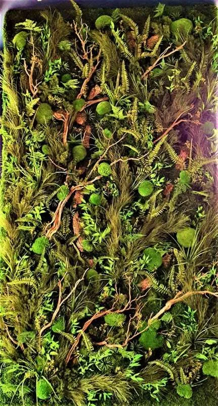 Mur végétal, Lyon, MOSS SMART NATURE