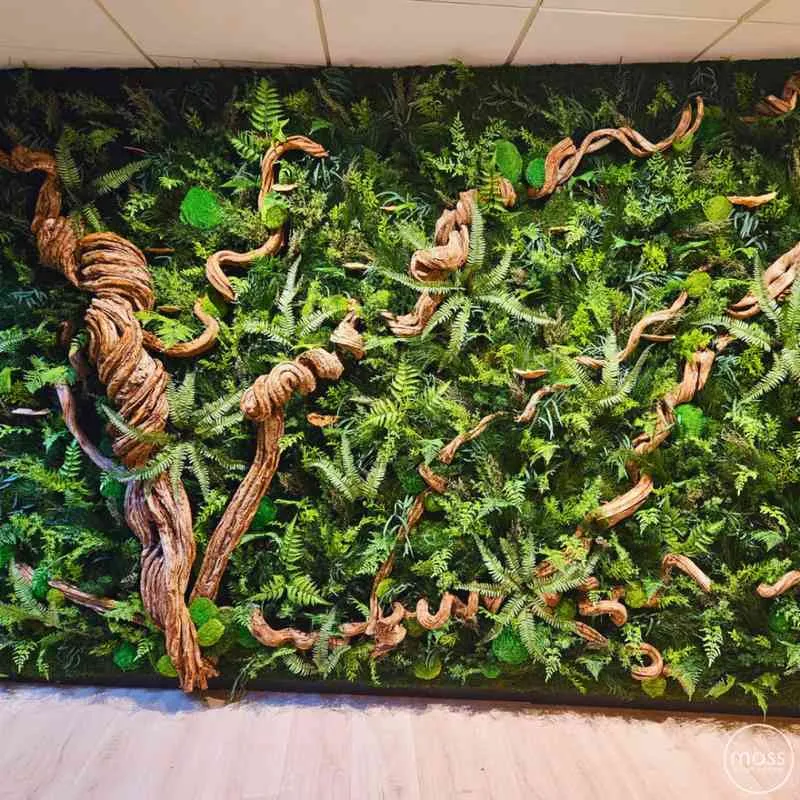 Mur végétal, Lyon, MOSS SMART NATURE