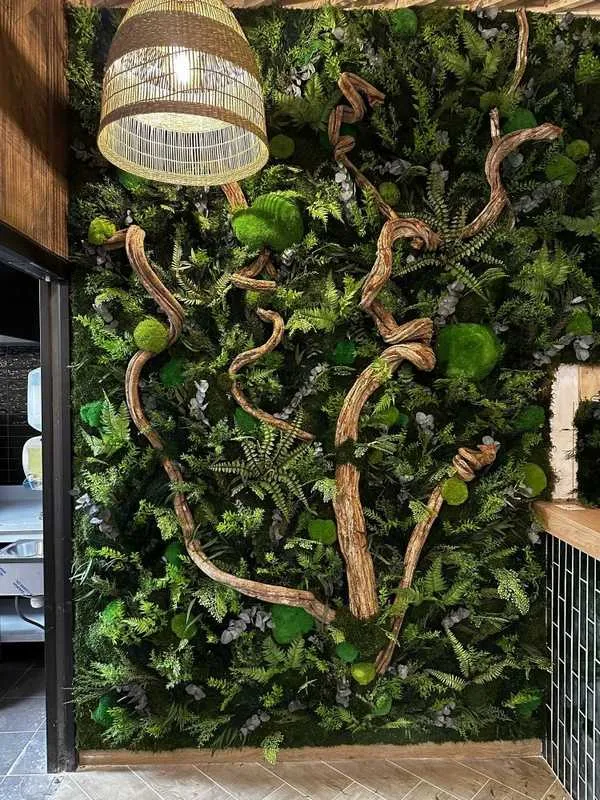 Mur végétal, Lyon, MOSS SMART NATURE