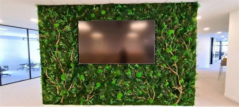 Mur végétal, Lyon, MOSS SMART NATURE