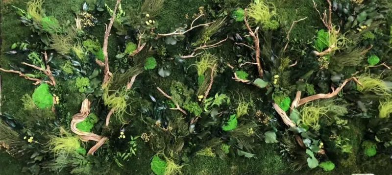 Mur végétal, Lyon, MOSS SMART NATURE