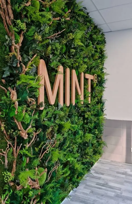 Mur végétal, Lyon, MOSS SMART NATURE