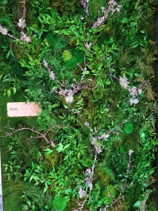 Mur végétal, Lyon, MOSS SMART NATURE