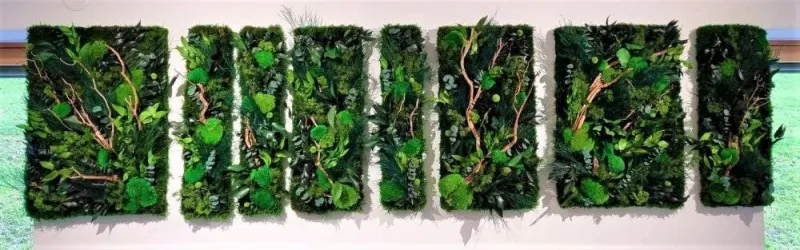 Tableau végétal, Lyon, MOSS SMART NATURE