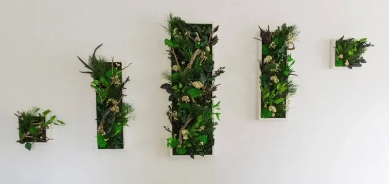 Tableau végétal, Lyon, MOSS SMART NATURE