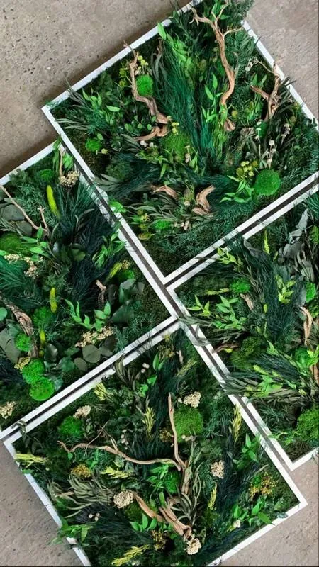 Tableau végétal, Lyon, MOSS SMART NATURE