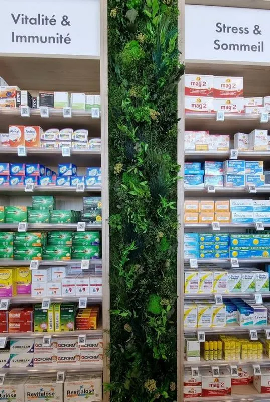 Tableau végétal, Lyon, MOSS SMART NATURE