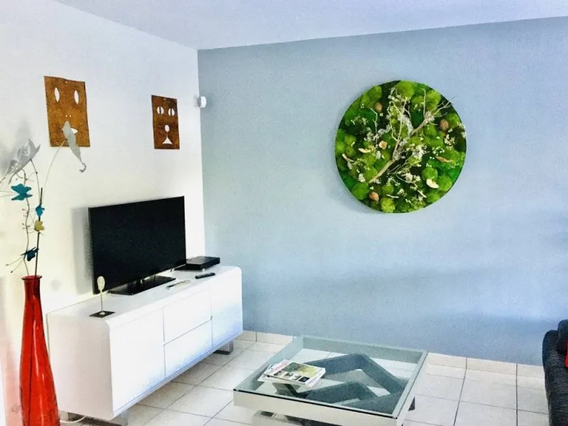 Tableau végétal, Lyon, MOSS SMART NATURE