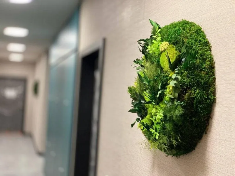 Tableau végétal, Lyon, MOSS SMART NATURE